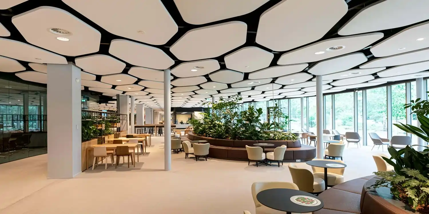 acoustic baffle ceiling